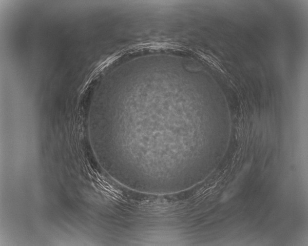 X0000052571207200507081653