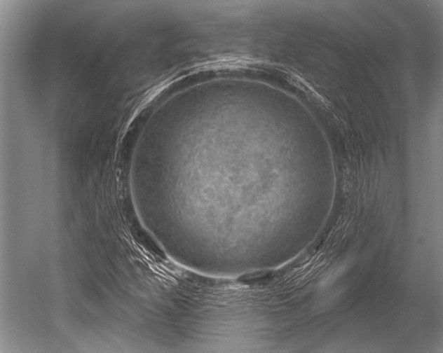 X0000052571208200507081653