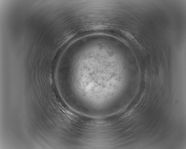 X0000052571209200507081653