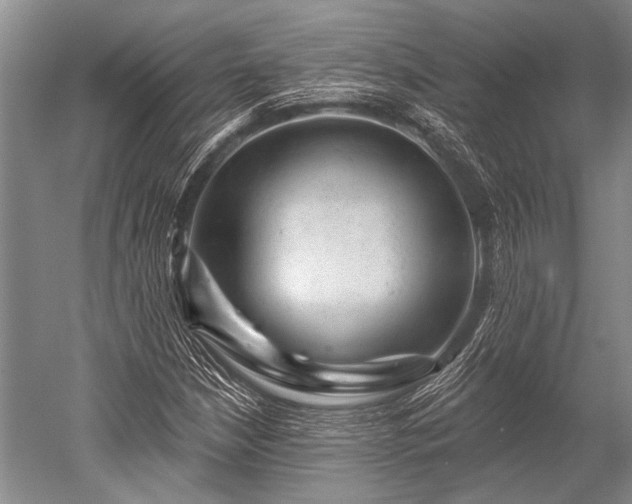 X0000052571210200507081653