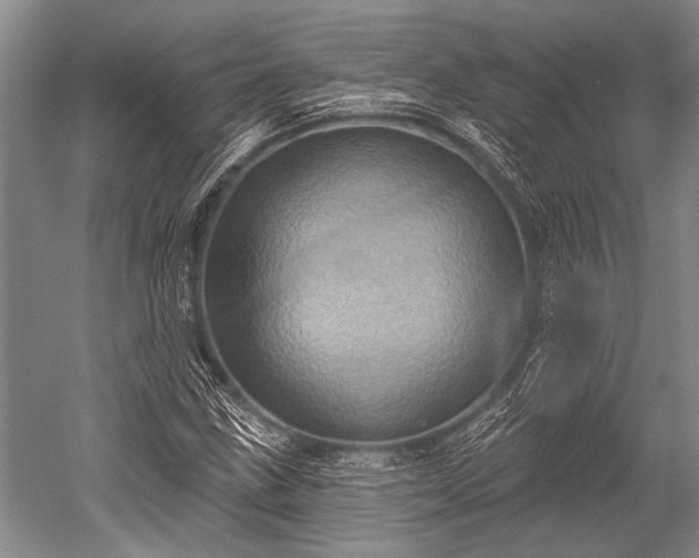 X0000052571211200507081653