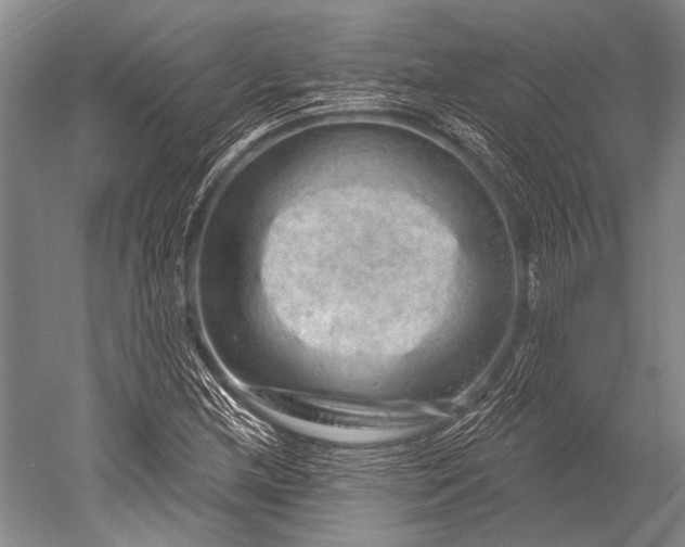 X0000052571212200507081653