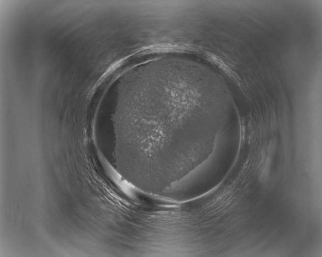 X0000052571213200507081653