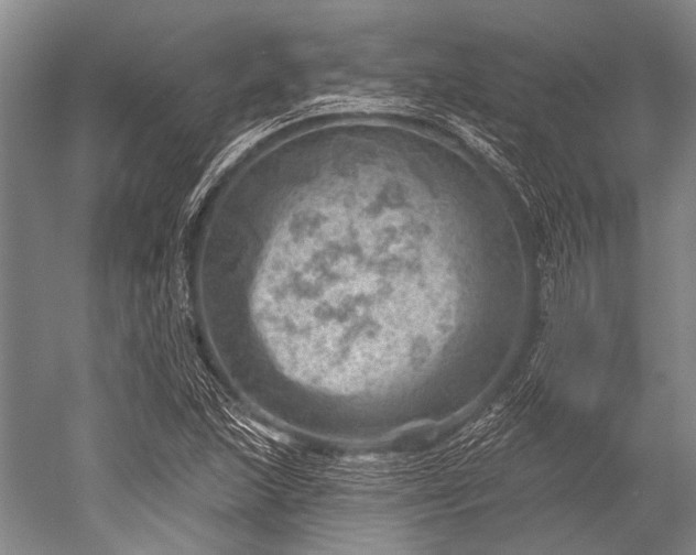 X0000052571215200507081653