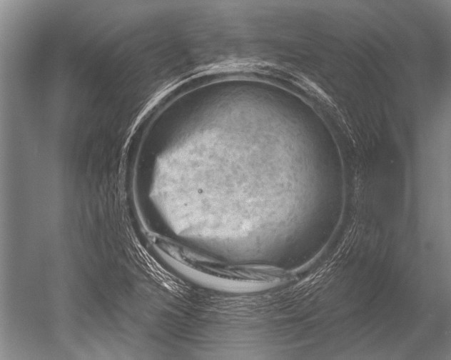 X0000052571216200507081653