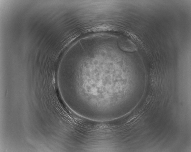 X0000052571217200507081653