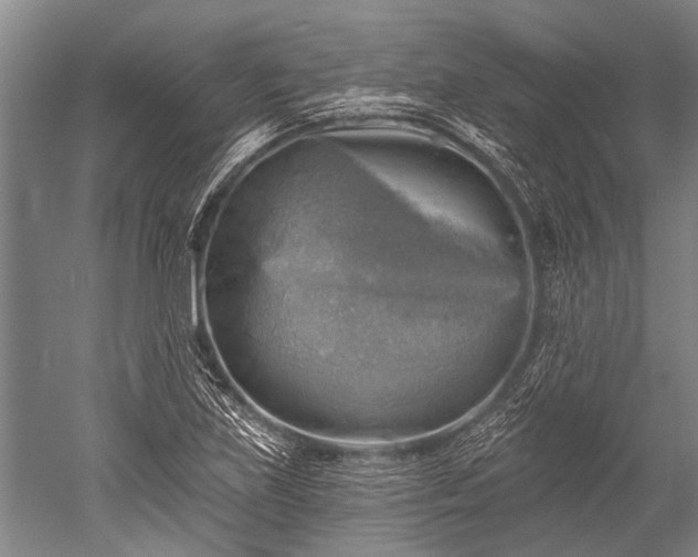 X0000052571219200507081653