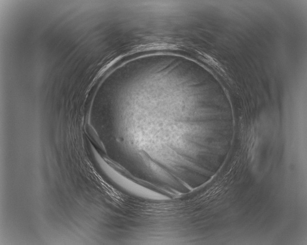 X0000052571220200507081653