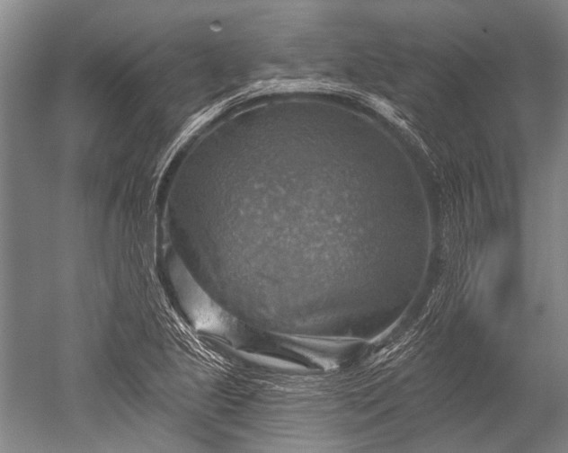 X0000052571221200507081653