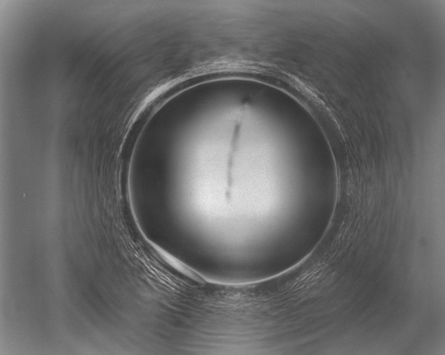 X0000052571222200507081653