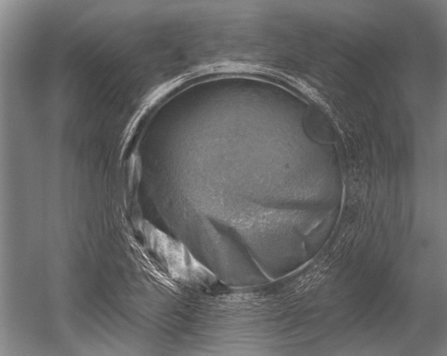 X0000052571223200507081653