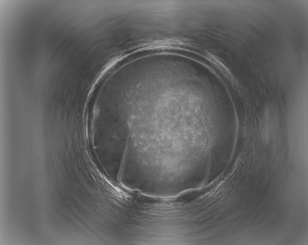 X0000052571224200507081653