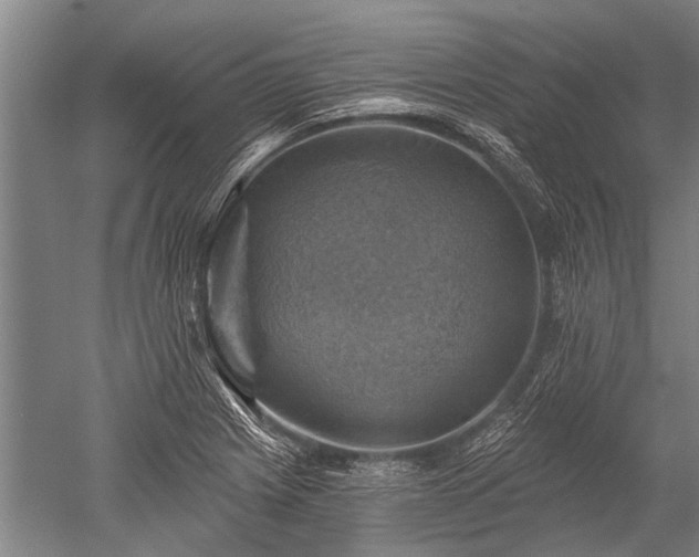 X0000052571225200507081653