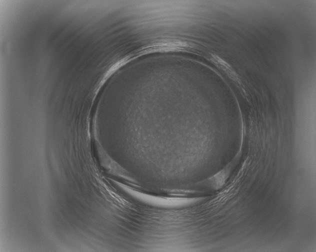 X0000052571226200507081653