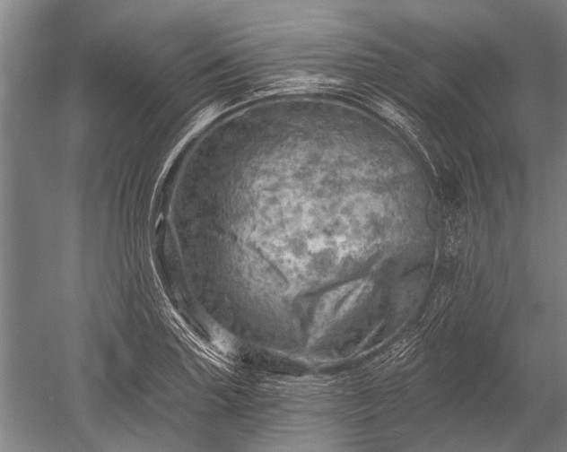 X0000052571227200507081653