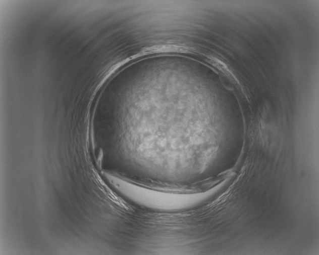 X0000052571228200507081653