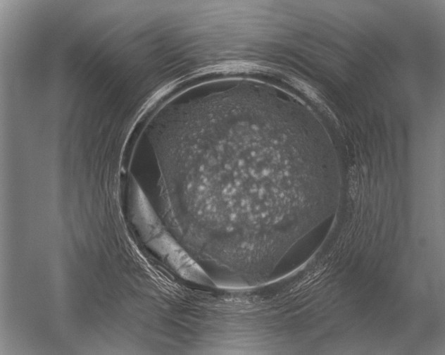 X0000052571229200507081653