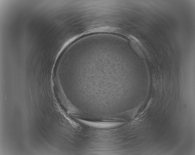 X0000052571230200507081653