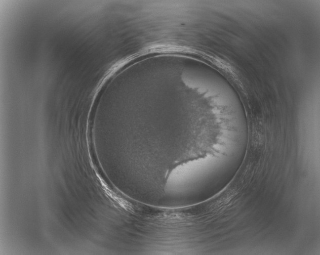 X0000052571231200507081653