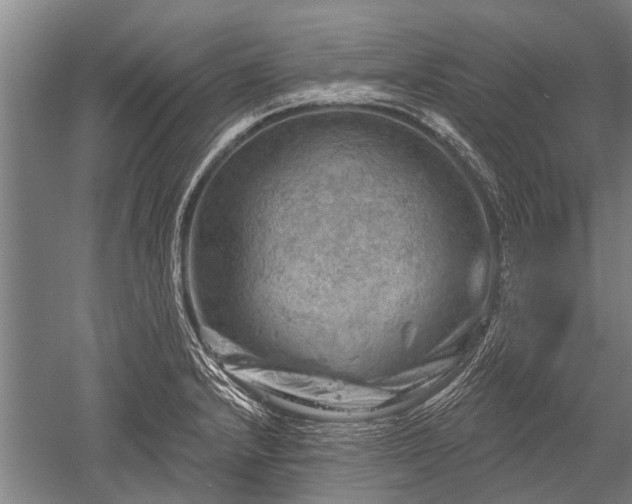 X0000052571232200507081653