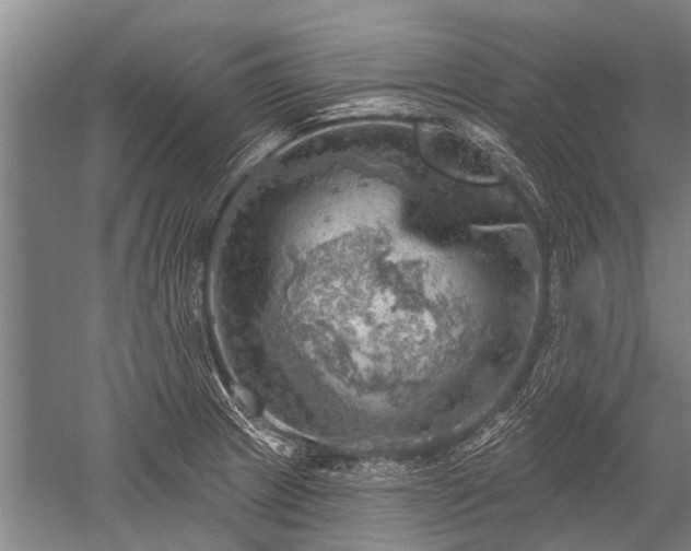 X0000052571233200507081653