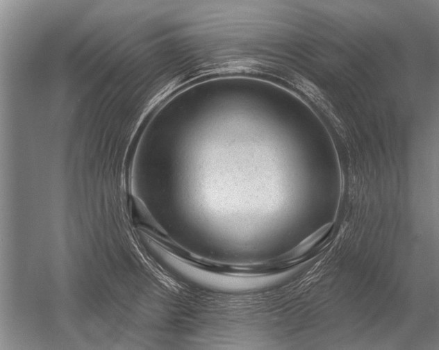 X0000052571234200507081653