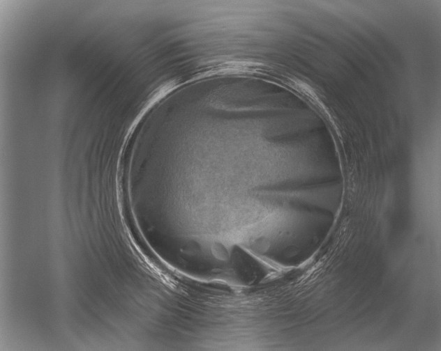 X0000052571235200507081653