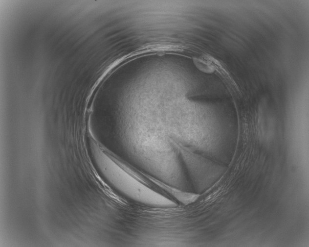 X0000052571236200507081653