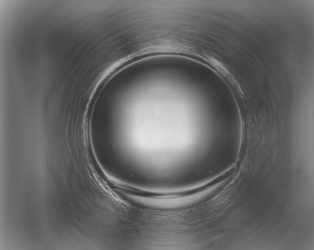 X0000052571238200507081653