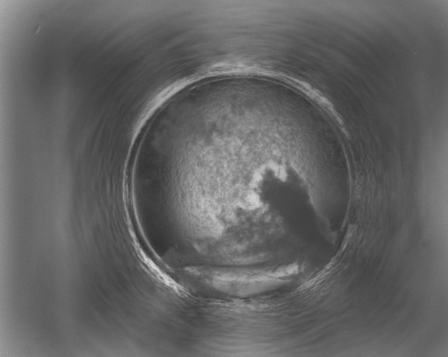 X0000052571239200507081653