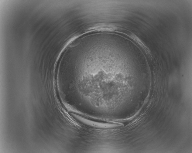 X0000052571240200507081653