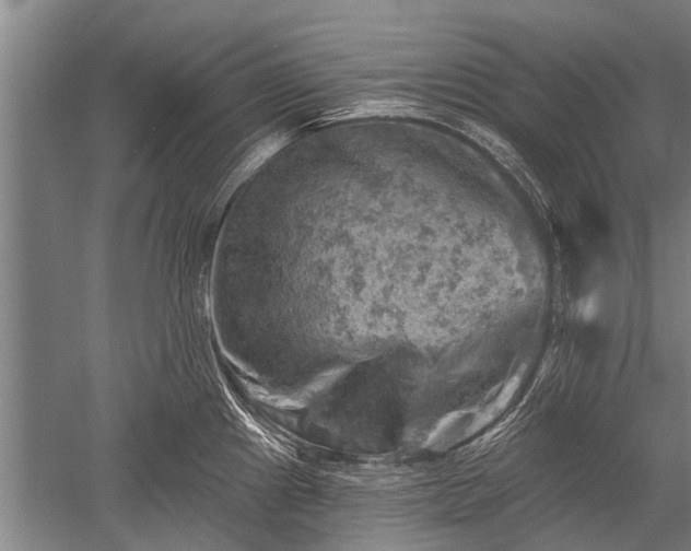 X0000052571241200507081653