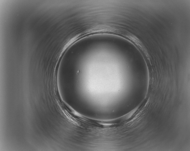 X0000052571242200507081653