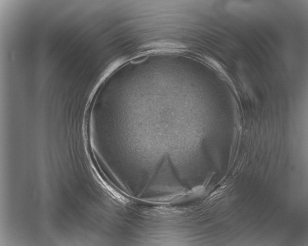 X0000052571243200507081653