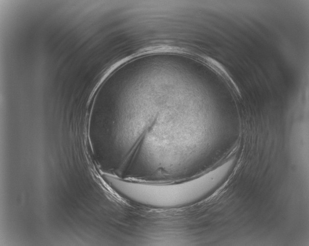 X0000052571244200507081653