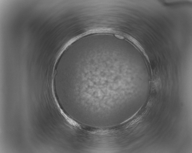 X0000052571245200507081653