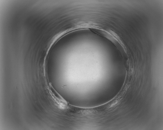 X0000052571246200507081653