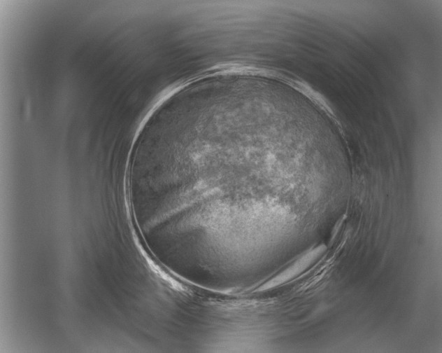 X0000052571247200507081653