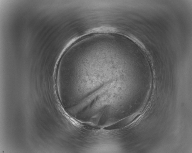 X0000052571248200507081653