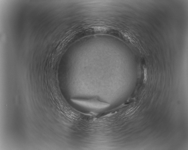 X0000052571249200507081653