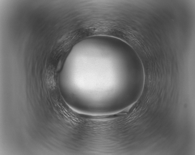 X0000052571250200507081652