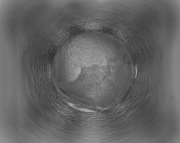 X0000052571251200507081652