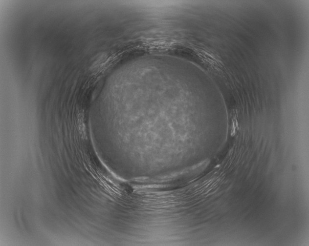 X0000052571252200507081652