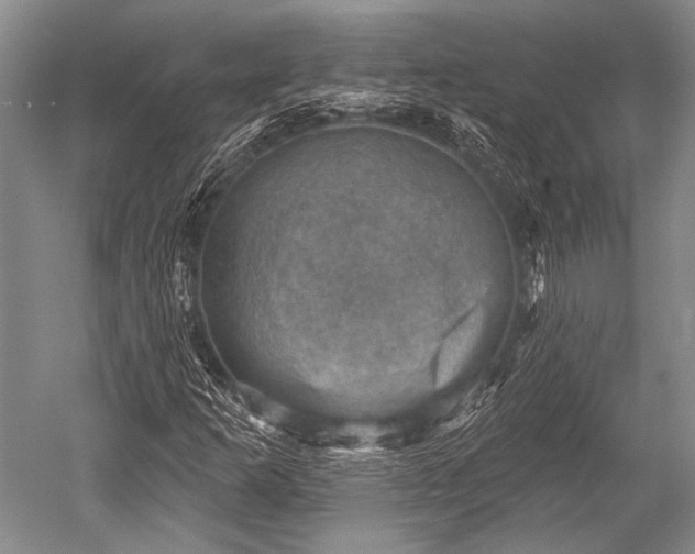 X0000052571253200507081652