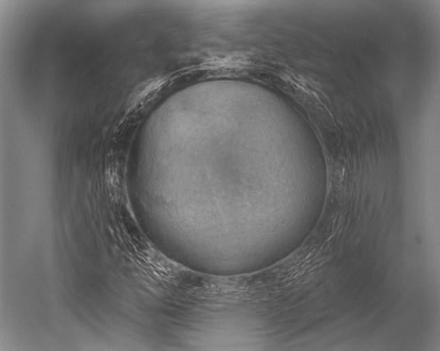 X0000052571254200507081652