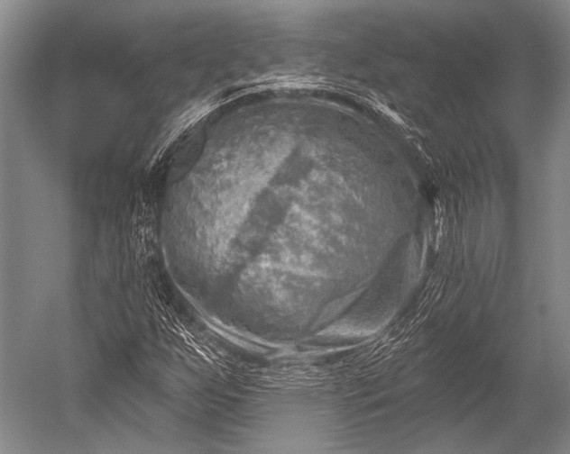 X0000052571255200507081652