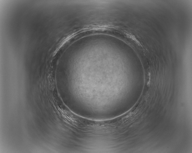 X0000052571256200507081652