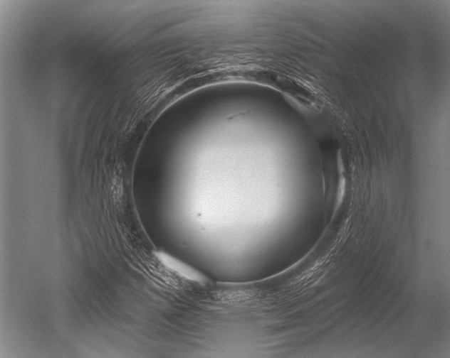 X0000052571257200507081652