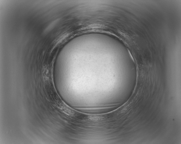 X0000052571258200507081652