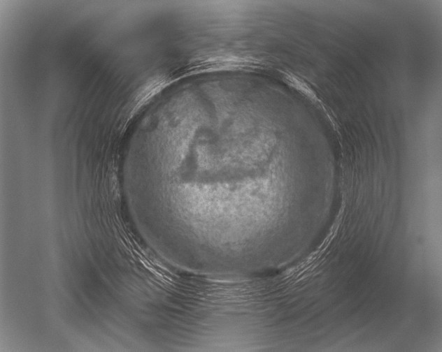 X0000052571259200507081652